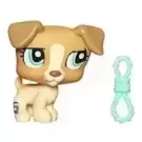 LPS 1302
