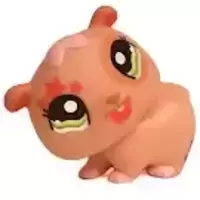 LPS 1341