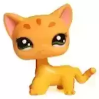 LPS 1377