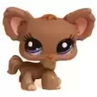LPS 1392