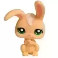 LPS 1425
