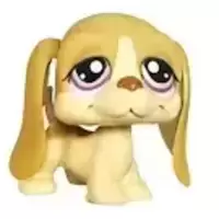 LPS 1465