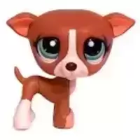 LPS 1585