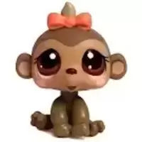 LPS 1593