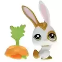 LPS 1606