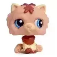 LPS 1636