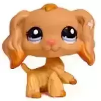 LPS 1716