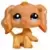 LPS 1716