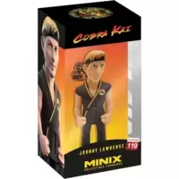 Cobra Kai - Johnny Lawrence
