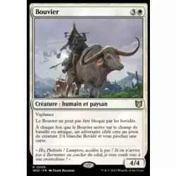 Bouvier