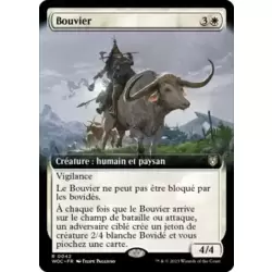 Bouvier