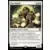 Les Friches d\'Eldraine - Commander Decks - Élus d\'Ajani