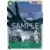 Carddass - One Piece Card Game OP-05 Jap - Pica