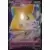 Cartes Pokemon Jumbo XXL - SWSH - Jirachi V