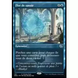 Flot de savoir