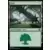 Forêt