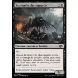Sauterelle charognarde