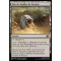 Site de fouilles de Tocasia