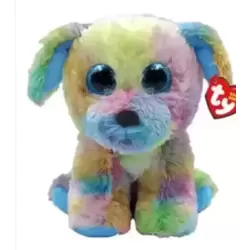 Chien multicolore
