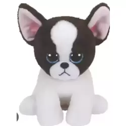 Chien marron blanc