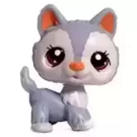 LPS 1930