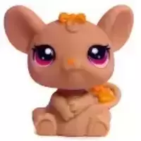 LPS 2008