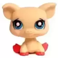 LPS 2011