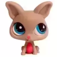 LPS 2031