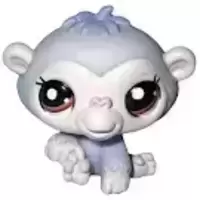 LPS 2050