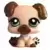 LPS 2103