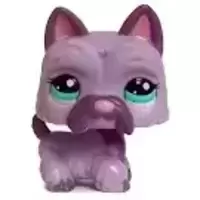 LPS 2241