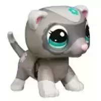 LPS 2315