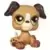 LPS 2351