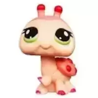 LPS 2416