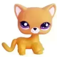 LPS 2433