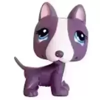 LPS 2448