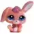 LPS 2513