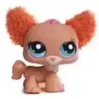 LPS 2514