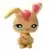 LPS 2546