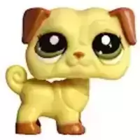 LPS 2589