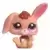 LPS 2620