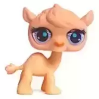 LPS 2791