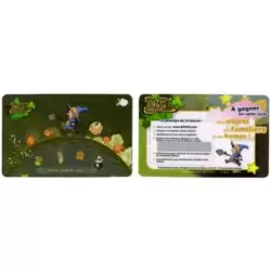Carte N°1