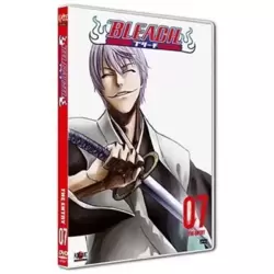 Bleach Vol. 7