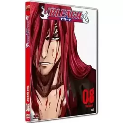 Bleach Vol. 8