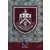Adrenalyn XL Premier League 2023/24 - Badge