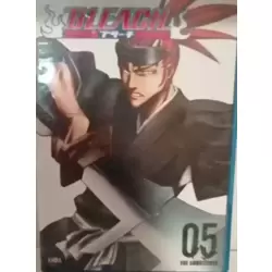 Bleach Vol. 5