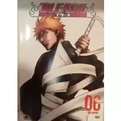 Bleach Vol. 6