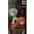 Evangelion Collector