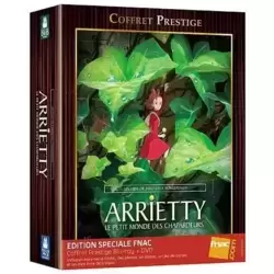 Arrietty : Le petit monde des chapardeurs - Combo Blu-Ray + DVD- Coffret Spécial - Blu Ray